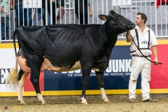 DSC01509-3 DSC01509-3