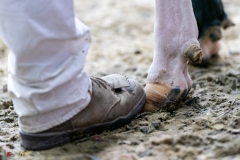 DSC01514-3 DSC01514-3