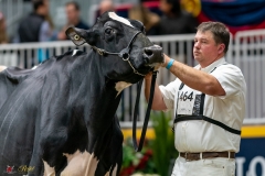 DSC01516-3 DSC01516-3