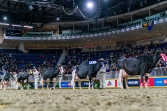 DSC01274-4 DSC01274-4