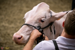 DSC00004-3 DSC00004-3