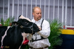 DSC00010-3 DSC00010-3