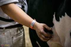 DSC00017-3 DSC00017-3