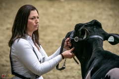 DSC00024-3 DSC00024-3