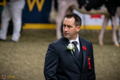 DSC00031-3 DSC00031-3