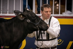 DSC00032-3 DSC00032-3