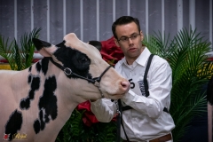 DSC00040-3 DSC00040-3