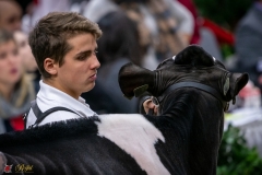 DSC00041-3 DSC00041-3