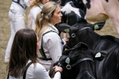 DSC00058-3 DSC00058-3