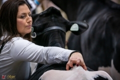 DSC00059-3 DSC00059-3