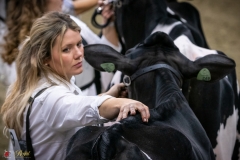 DSC00066-3 DSC00066-3