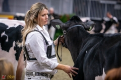 DSC00093-3 DSC00093-3