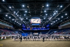 DSC00120-2 DSC00120-2