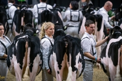 DSC00141-2 DSC00141-2