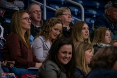 DSC00152-2 DSC00152-2