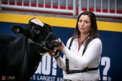 DSC00170-2 DSC00170-2