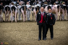 DSC00175-2 DSC00175-2