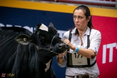 DSC00179-2 DSC00179-2