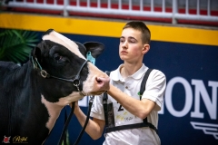 DSC00183-2 DSC00183-2