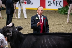 DSC00194-2 DSC00194-2