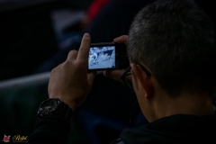 DSC00214-2 DSC00214-2