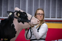 DSC00233-2 DSC00233-2