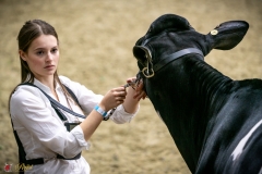 DSC00238-2 DSC00238-2