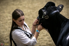 DSC00240-2 DSC00240-2