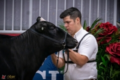 DSC00248-2 DSC00248-2