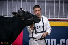 DSC00249-2 DSC00249-2