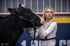 DSC00259-2 DSC00259-2