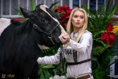 DSC00266-2 DSC00266-2