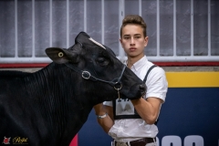 DSC00270-2 DSC00270-2