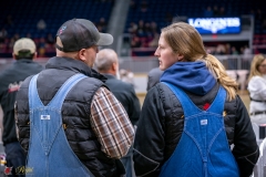 DSC00293-2 DSC00293-2