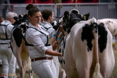 DSC00306-2 DSC00306-2