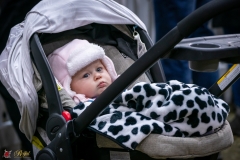 DSC00326-3 DSC00326-3