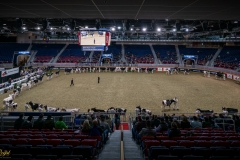 DSC00341-3 DSC00341-3