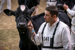 DSC00361-3 DSC00361-3