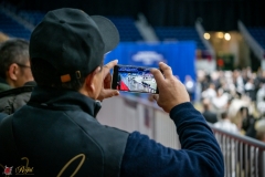 DSC00370-3 DSC00370-3