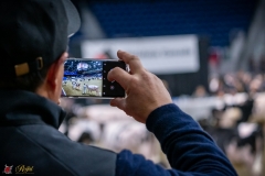 DSC00377-3 DSC00377-3