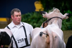 DSC00395-3 DSC00395-3