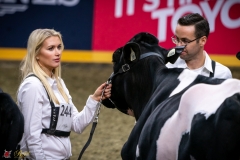 DSC00401-3 DSC00401-3