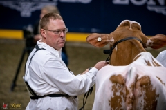 DSC00410-3 DSC00410-3