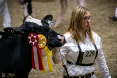 DSC00418-3 DSC00418-3