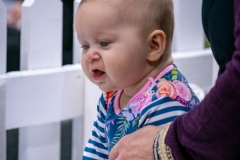 DSC00456-2 DSC00456-2