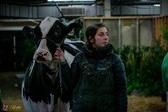 DSC00497-2 DSC00497-2