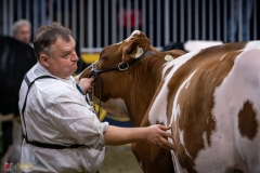 DSC00512-2 DSC00512-2