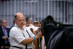 DSC00520-2 DSC00520-2