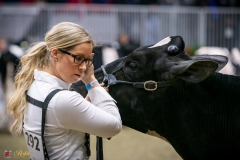 DSC00528-2 DSC00528-2