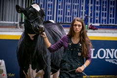 DSC00537-2 DSC00537-2